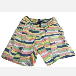 Patagonia Wavefarer Wavy Stripe Board Shorts